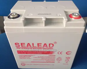 Sealead 12v 24ah Ups Battery