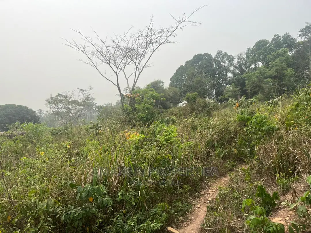 12 Acres of Land Located Right Opposite Aburi Girls SHS.
