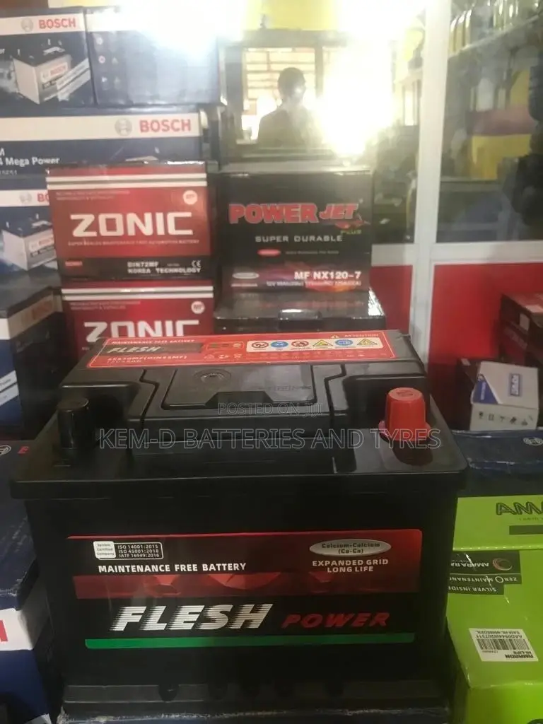 13 Plates 12V 55ah Flesh Power Battery