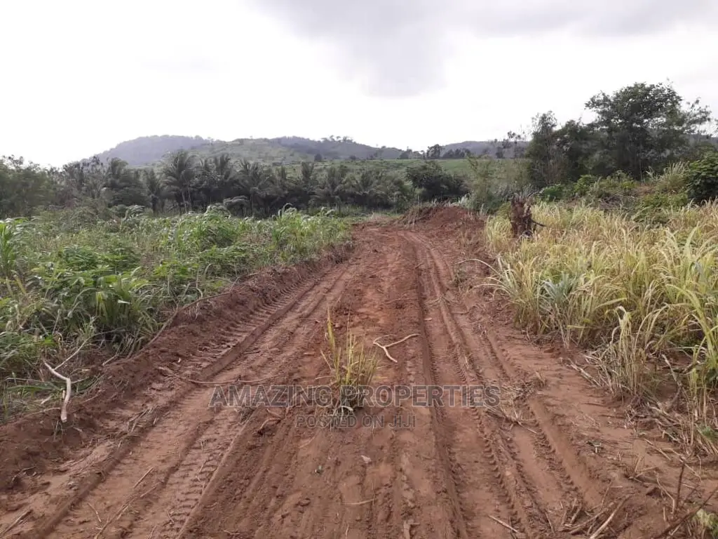 13 Acres of Land at Bontrase