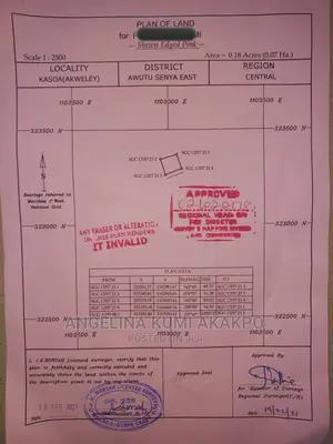 Surveyor Services