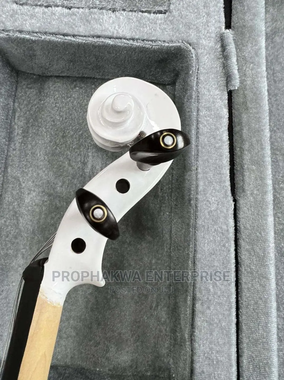 Olympic Semi Acoustic Violin
