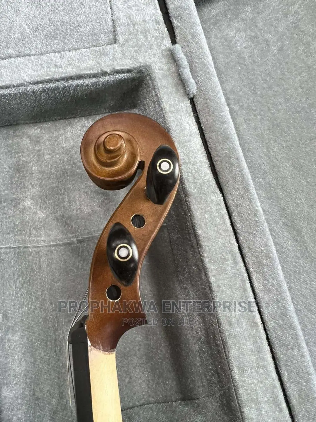 Olympic Semi Acoustic Violin