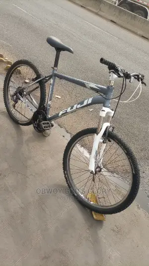 High Fuji Bike