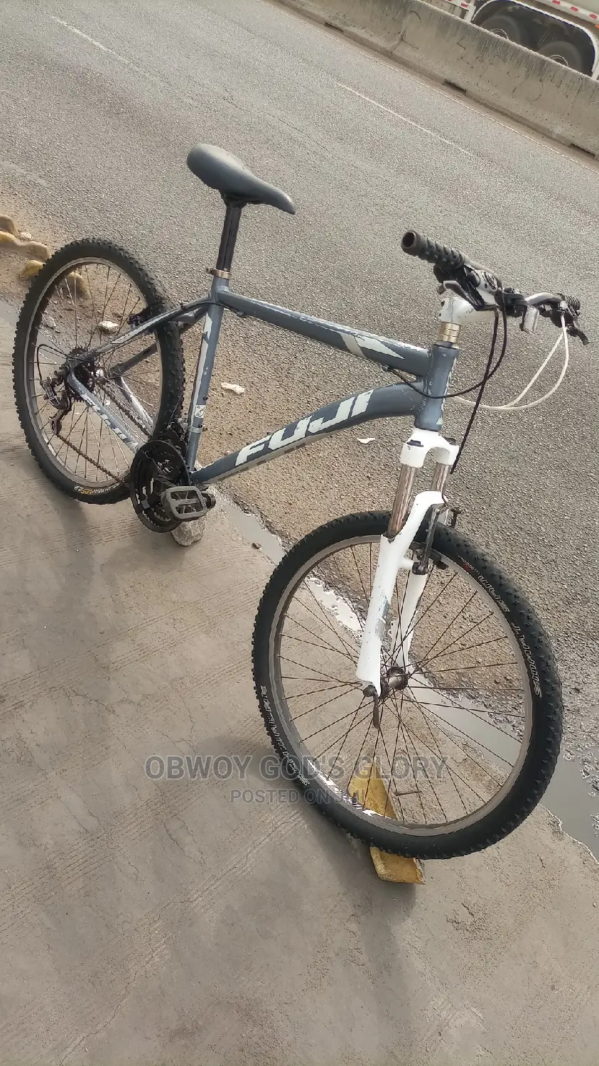 High Fuji Bike