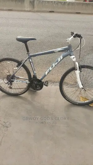 High Fuji Bike
