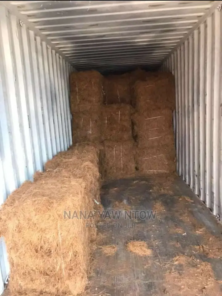 Coconut Fiber Mesh And Cocopeat