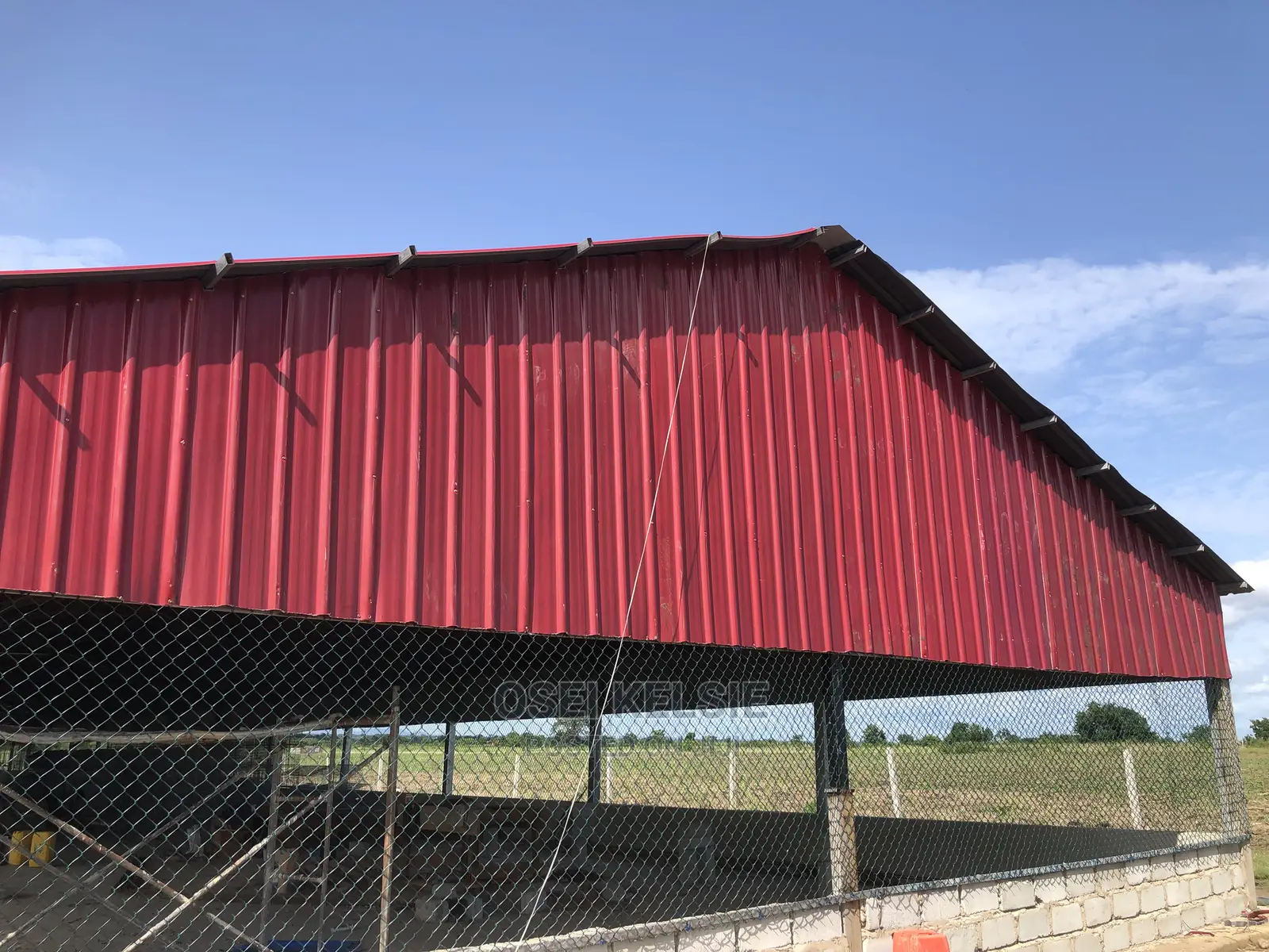 Chicken Structures