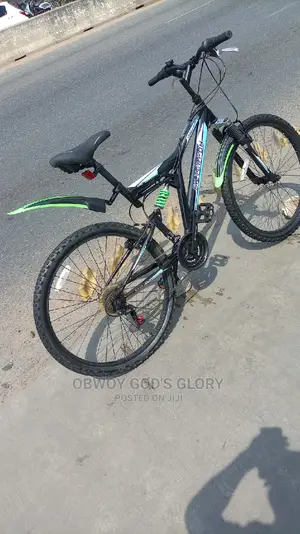 The Best Spring Bike