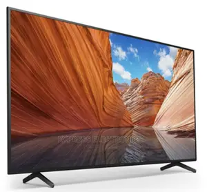 Sony 65” X1TM Processor, Google Support,TRILUMINOS PROTM