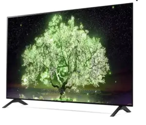 1G 65" Oled TV A1 Series Uhd Smart [Oled65a1pva]