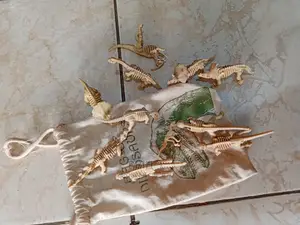 Kids Learning Animal Kingdom Skeleton