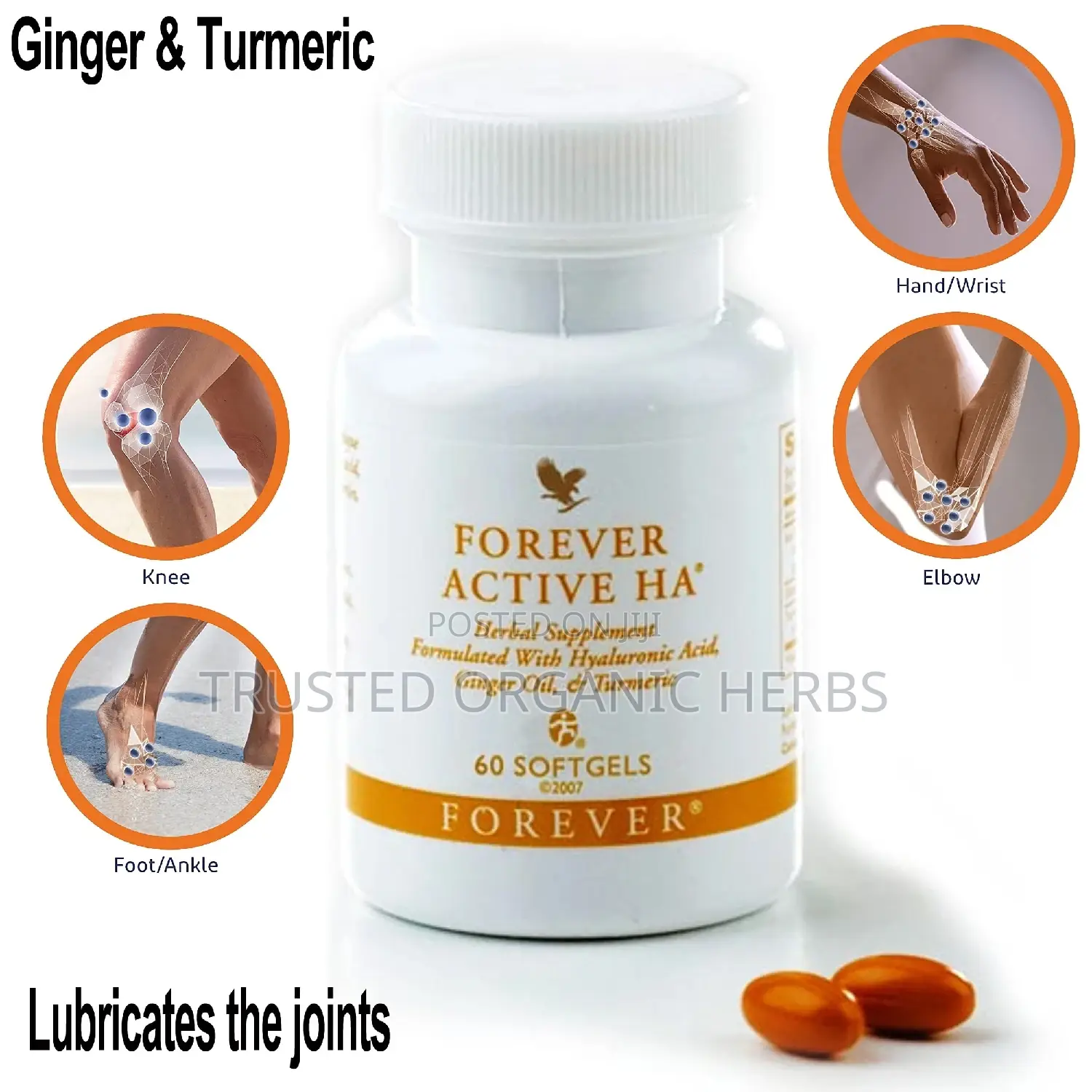 Forever Living Active Ha for Joints / Hyaluronic Supplement