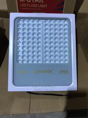Dyeson 100W Flood Light