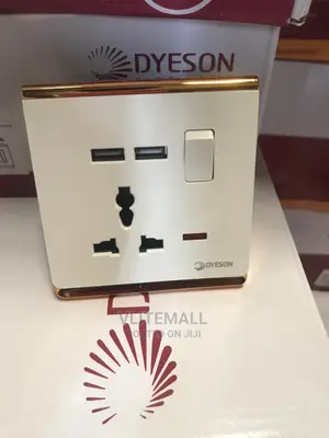Dyeson Single Multi With 2USB (White Gold)