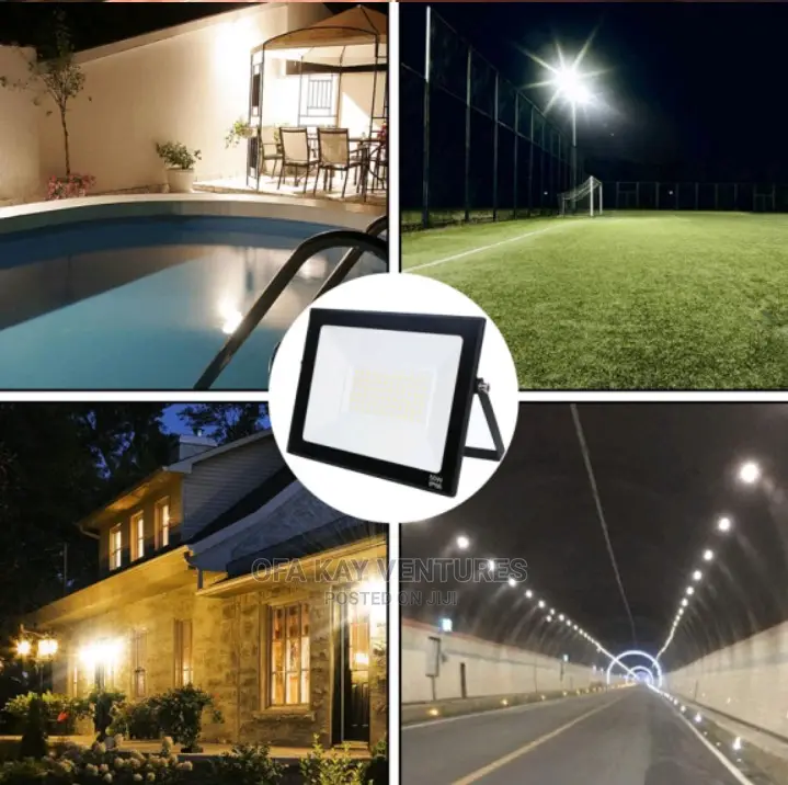 Leopard Cat Flood Light IP66 100W