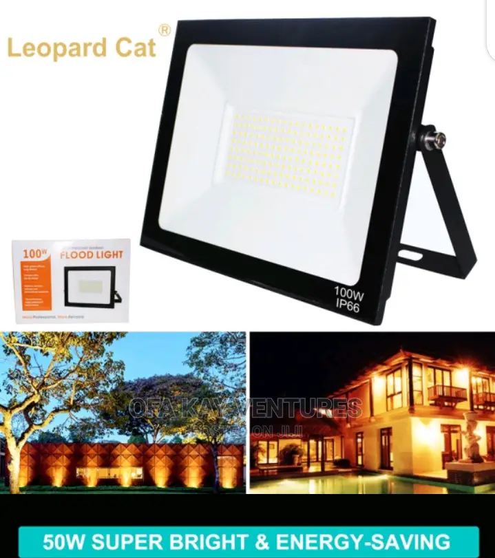 Leopard Cat Flood Light IP66 100W