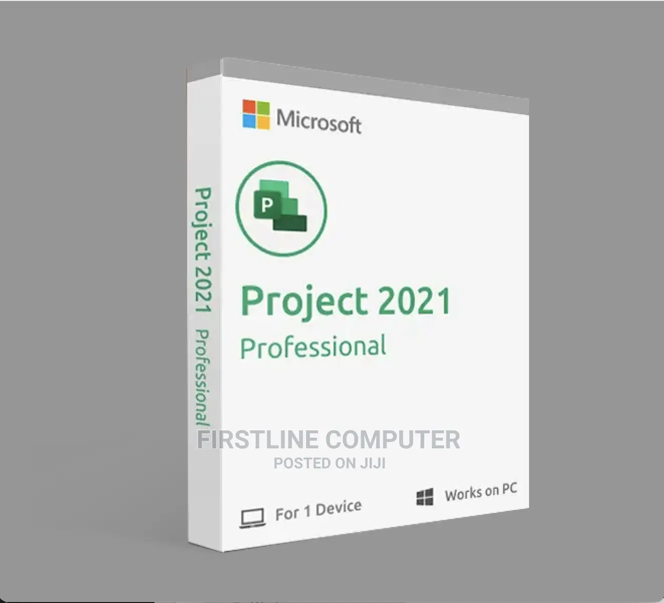 Microsoft Project 2021 Professional