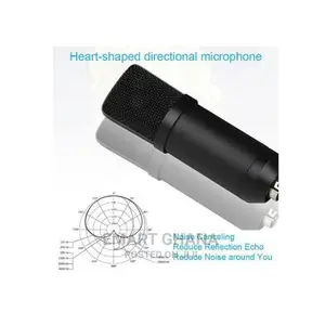 BM700-USB Condenser Microphone Kit, Studio Recording