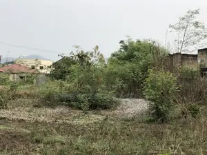 A Plot of Land for Sale Pokuase Ayawaso, Size(100x70)
