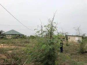 A Plot of Land for Sale Pokuase Ayawaso, Size(100x70)