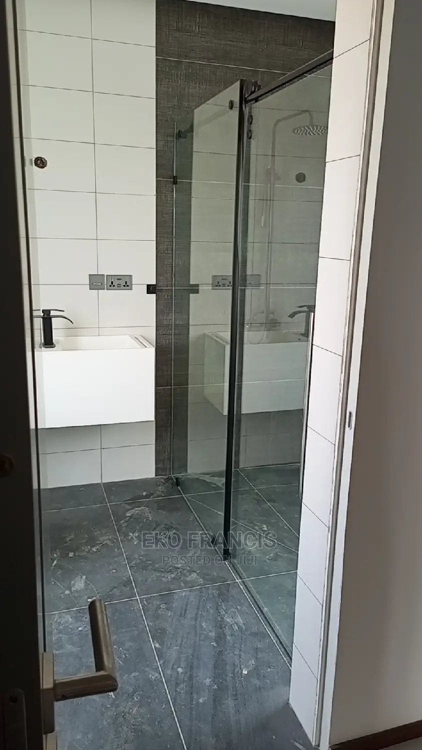 Shower Glass Partition