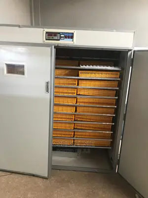 Automatic Incubator