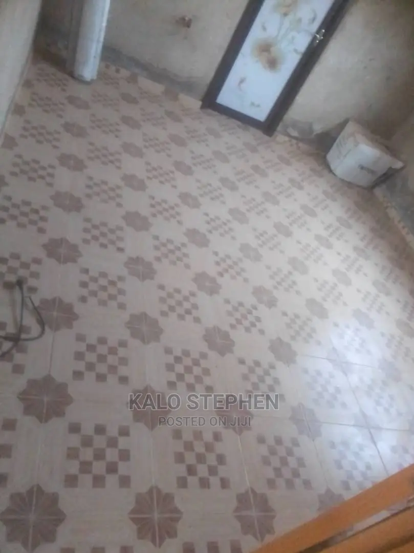 Experienced Tiles Contrutor