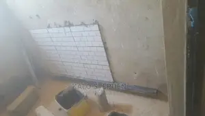 Experienced Tiles Contrutor