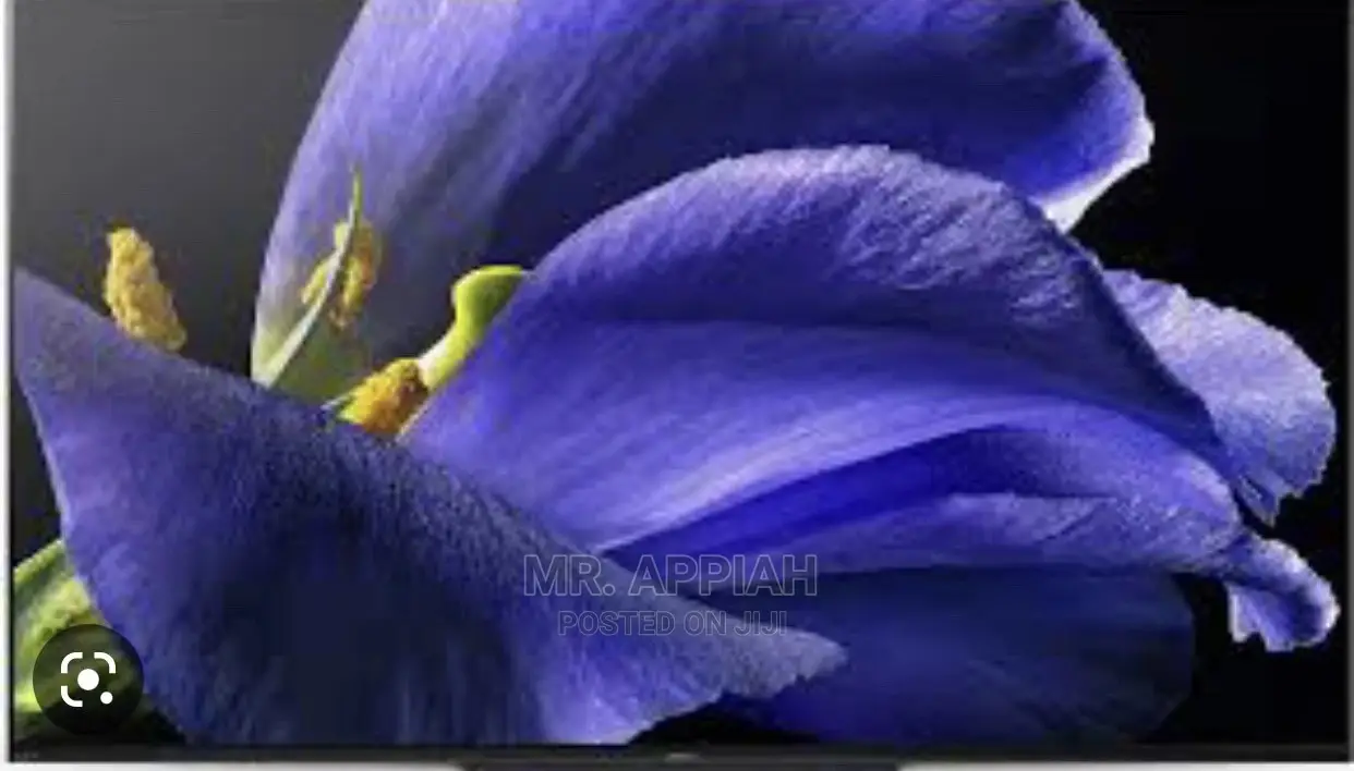 Sony 65-Inch OLED Smart Android TV (KD-65A9G)