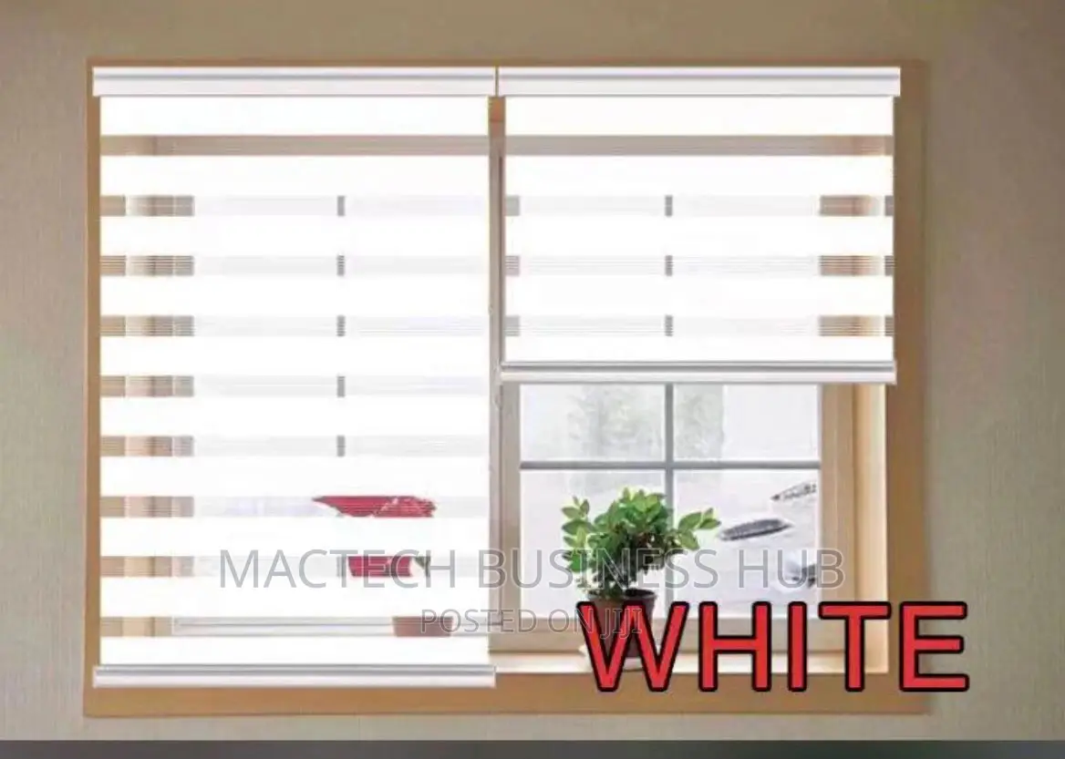 Blinds(Double Window)