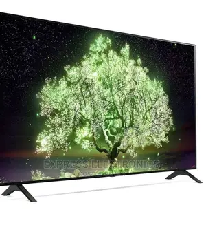LG 65 Inch UHD Smart OLED Built-In Receiver - OLED65A1PVA
