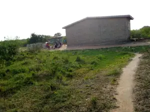 3 Plots of Land for Sale at Asabahan Mango Line