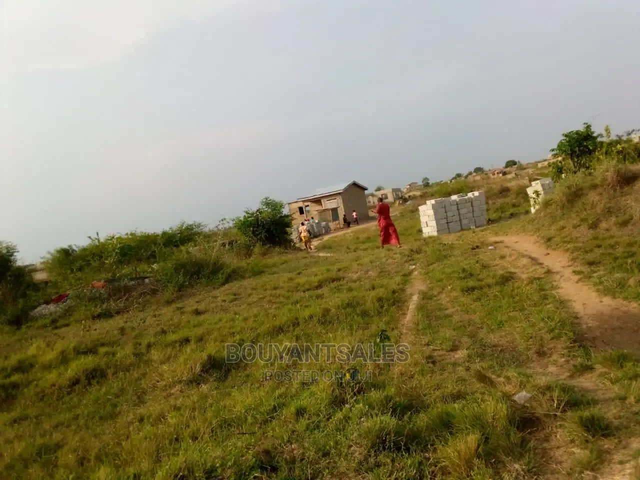 3 Plots of Land for Sale at Asabahan Mango Line