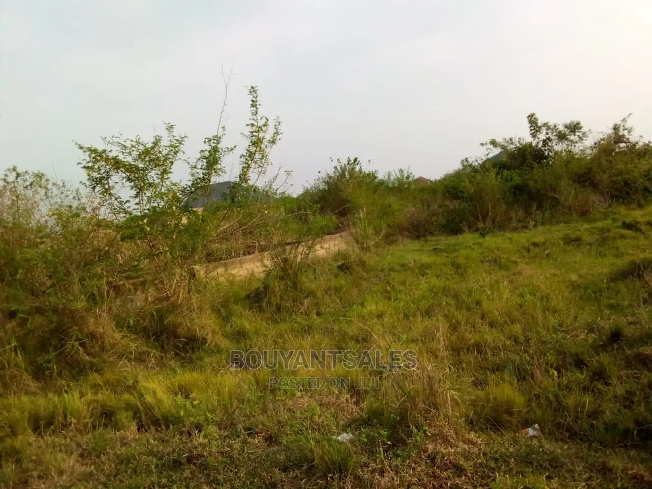 3 Plots of Land for Sale at Asabahan Mango Line