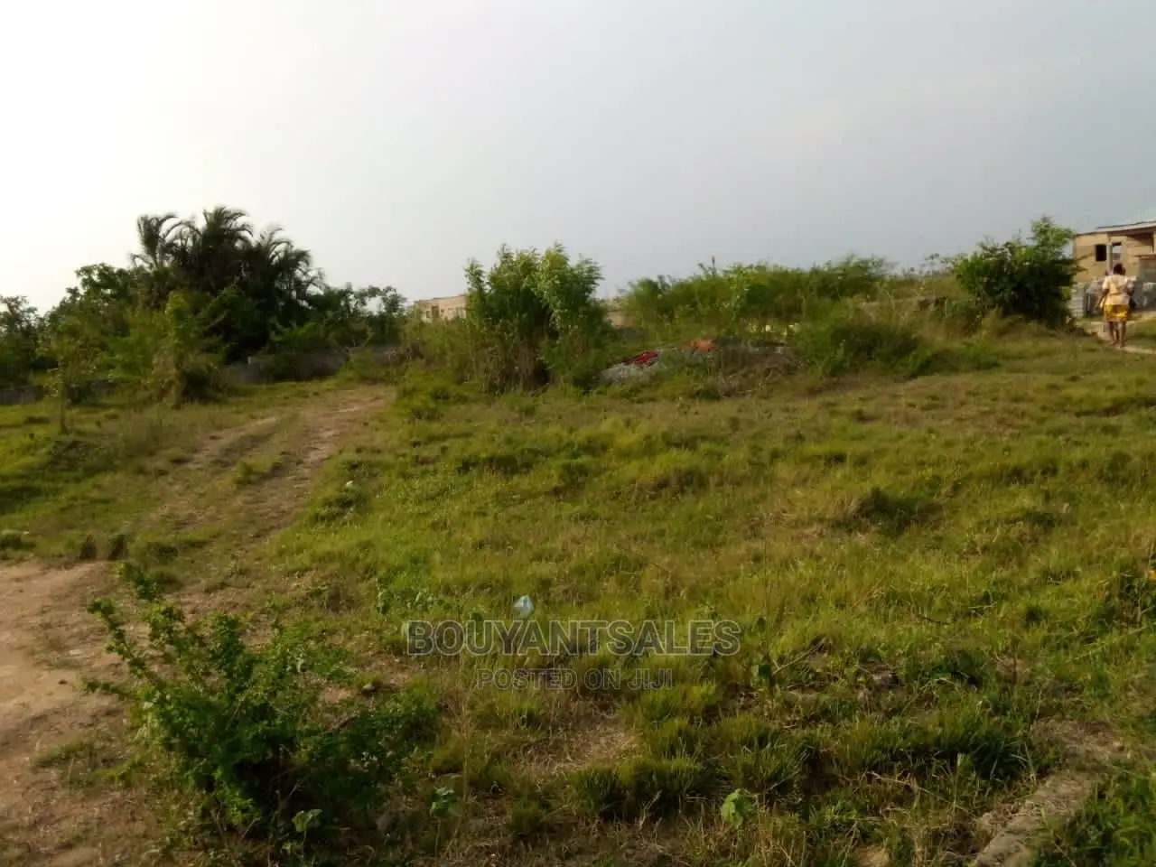 3 Plots of Land for Sale at Asabahan Mango Line