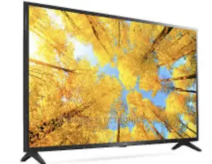 Self Luminous Display Technology LG UHD 55UQ7500 Smart