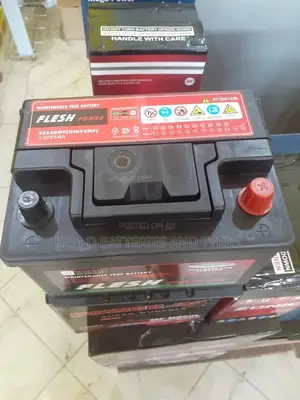 Flesh Power Battery 13 Plates