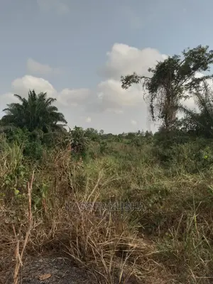Farmlands for Sale at Anum Apampram, Asamankese