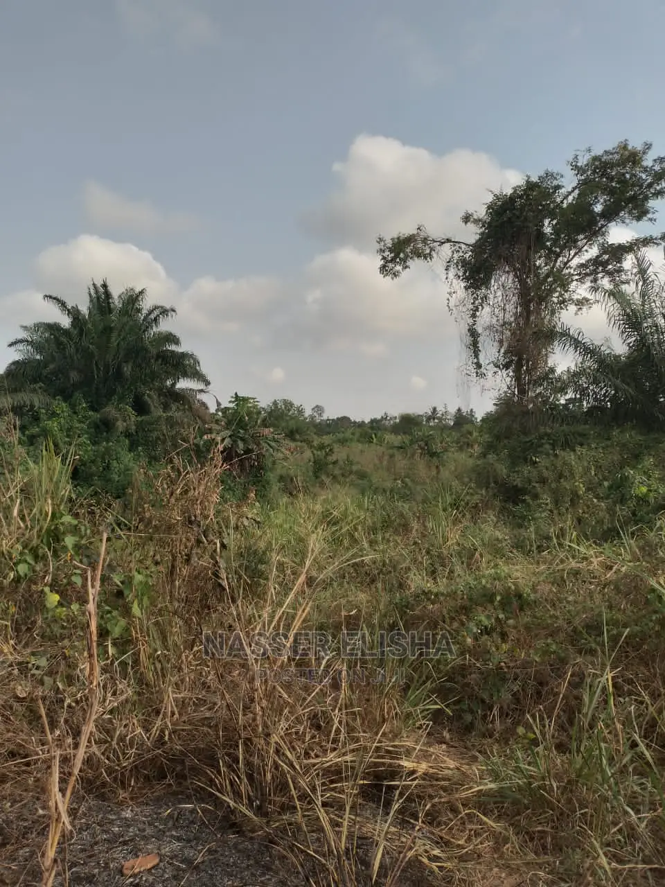 Farmlands for Sale at Anum Apampram, Asamankese
