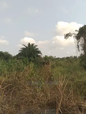 Farmlands for Sale at Anum Apampram, Asamankese