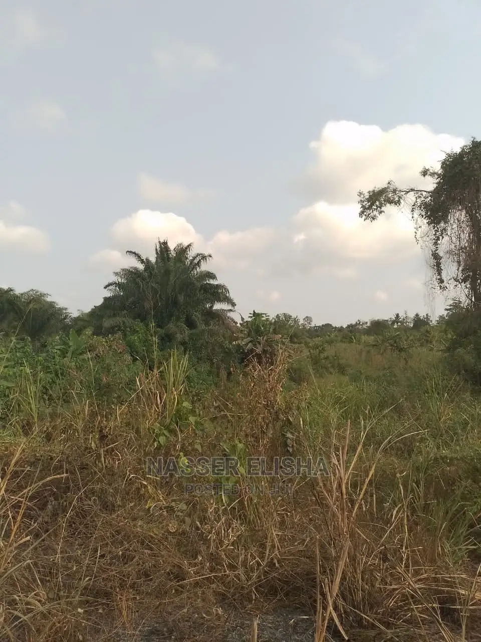 Farmlands for Sale at Anum Apampram, Asamankese