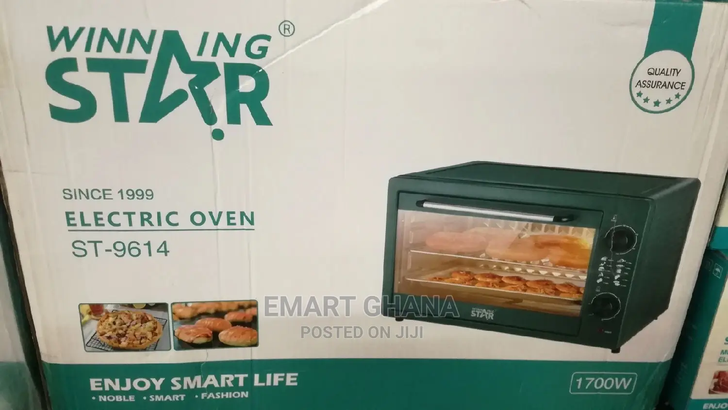 Winning Star Electric Oven