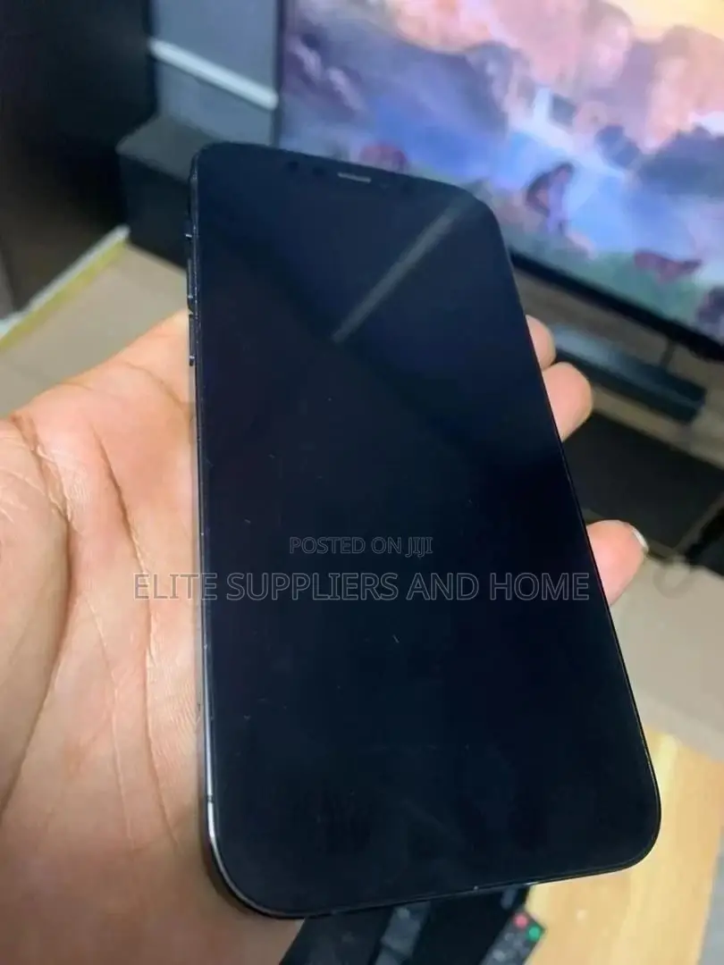 Apple iPhone 12 Pro Max 128 GB Blue