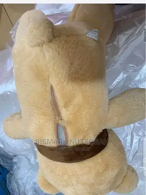 Teddy Bear for Sale