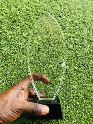 Original Award Plaque at Cool Price