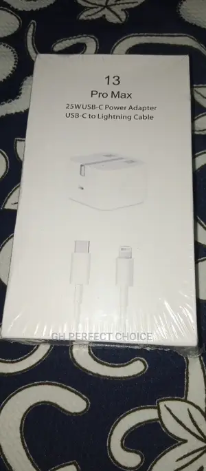 25W Type Fast iPhone Charger