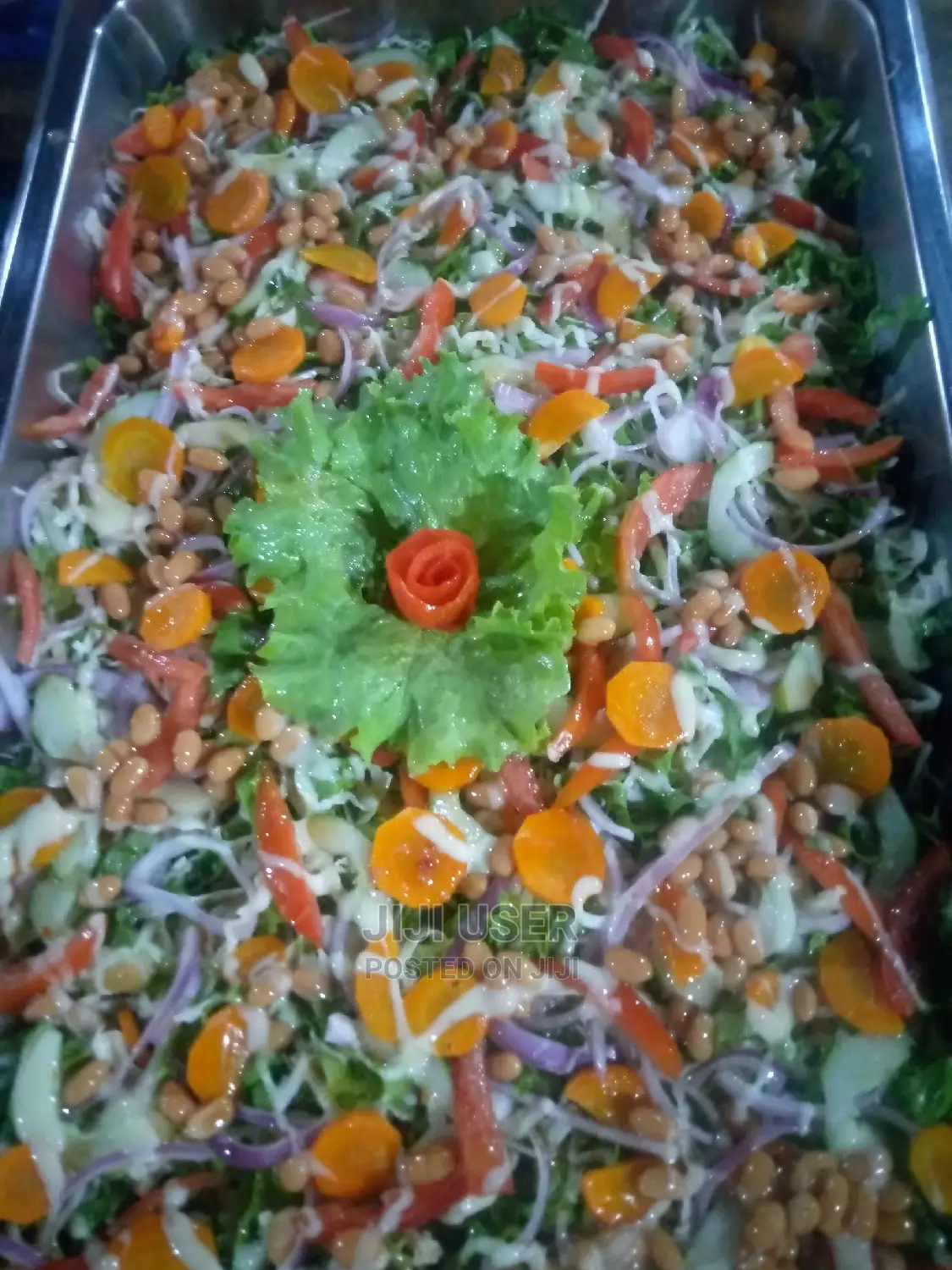 Chef for Restaurant and Homes