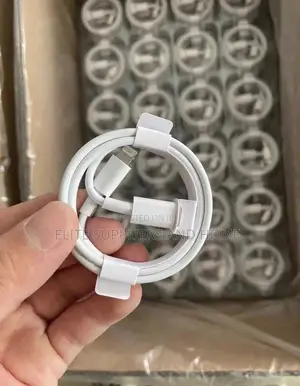 Original Type C Chargers