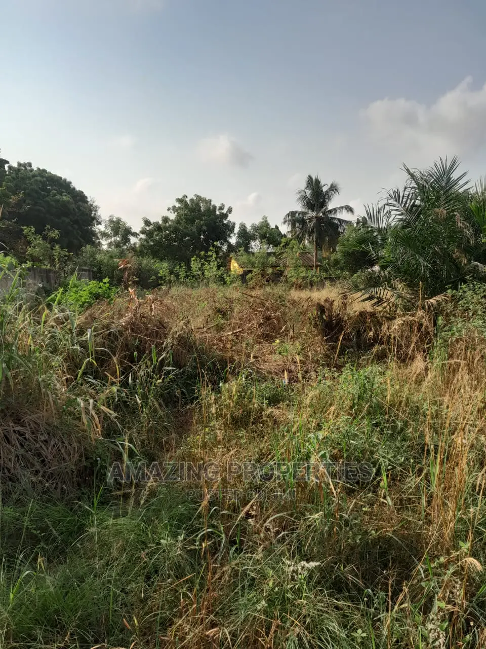 4 Acres Title Land at OSU Around Hospital 1acre Is for Sale